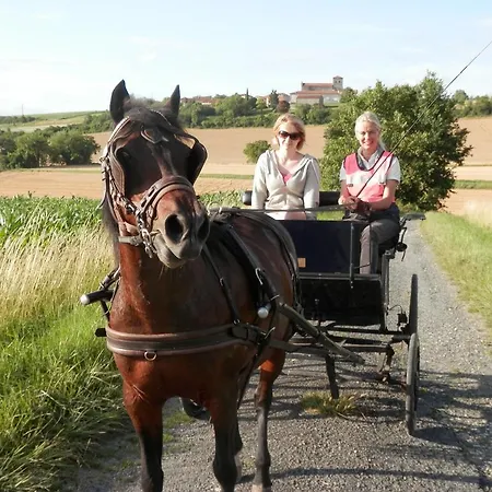 Les Vergers Du Faure * Chadurie