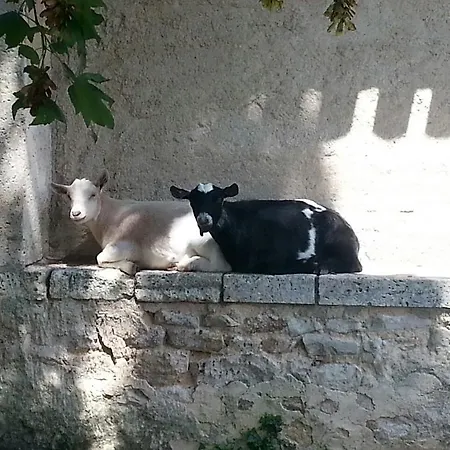 Les Vergers Du Faure * Chadurie