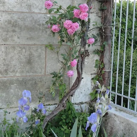 Bed & Breakfast Les Vergers Du Faure Chadurie