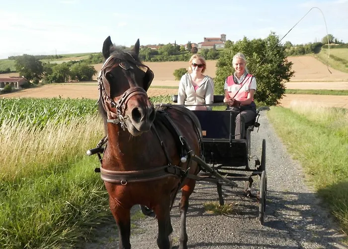 Les Vergers Du Faure * Chadurie