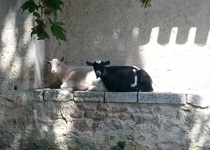 Les Vergers Du Faure * Chadurie