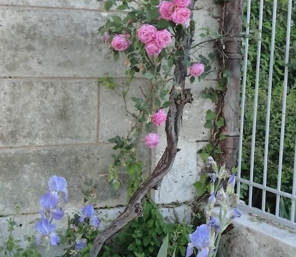 Bed and Breakfast Les Vergers Du Faure Chadurie